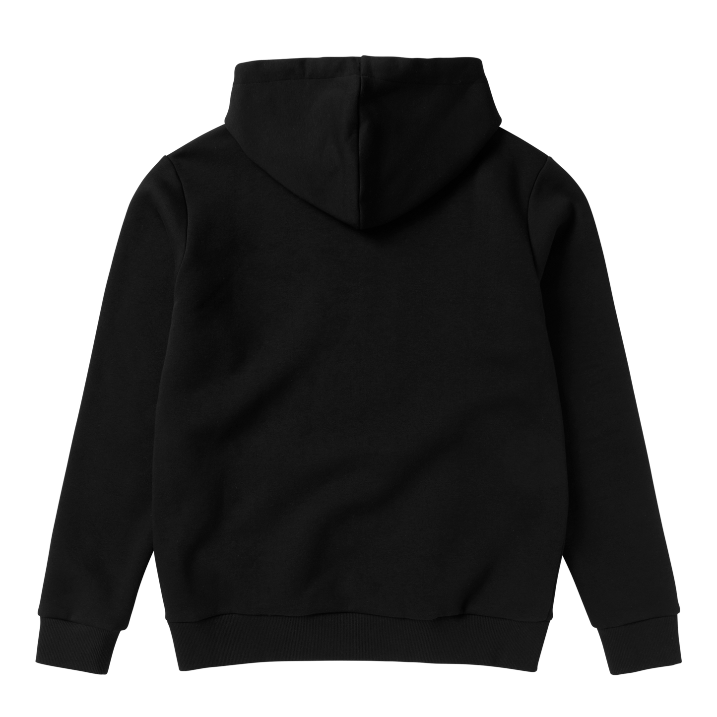 Icon Hood Sweat